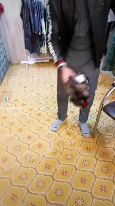 Beautiful  Cloth