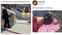 Met Gala Memes 2023 : Cockroach Red Carpet Met Gala Funny Memes Viral | Boldsky