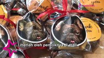 Lucu dan Menggemaskan, Acara Ulang Tahun untuk Hewan Peliharaan