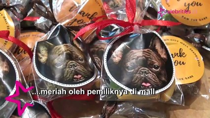 Lucu dan Menggemaskan, Acara Ulang Tahun untuk Hewan Peliharaan
