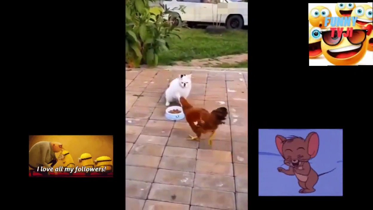 FUNNIEST ANIMALS EVER 5