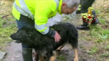 Download Video: Vigili del Fuoco salvano cane finito tra le rapide del fiume Stura