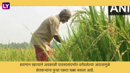 Weather Alert: महाराष्ट्रात अवकाळी पावसाचा कहर, शेतकऱ्यांची चिंता वाढली