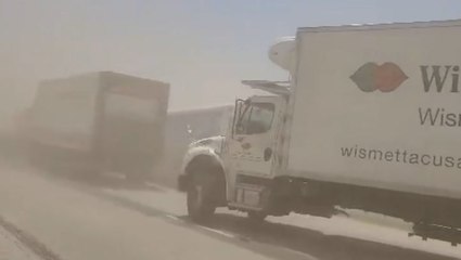 Footage shows aftermath of ‘80-car’ pile-up that killed six during Illinois dust storm