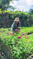 Enjoy beautiful nature with rural life