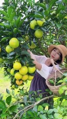 Enjoy beautiful nature with rural life