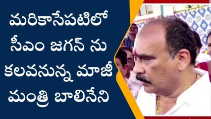 ప్రకాశం: పిలుపొచ్చింది... సీఎం జగన్ కార్యాలయానికి బాలినేని!