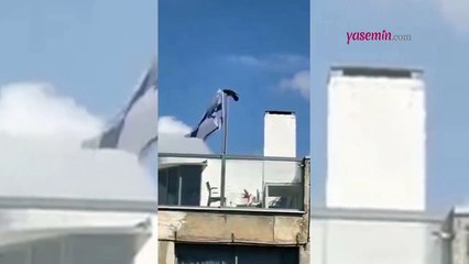İsrail bayrağını direkten söküp atan karga! O anlar işte böyle kaydedildi