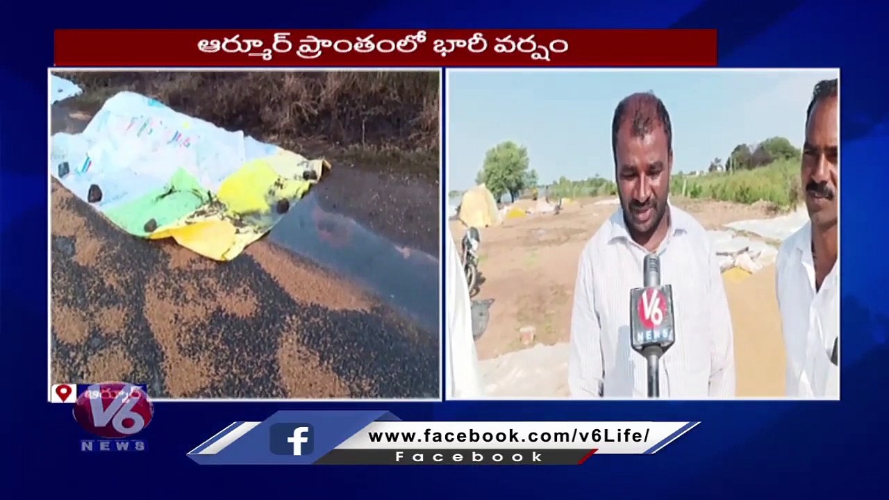 Farmers loss Huge Crop With Unseasonal Rains In Armuru | Nizamabad | V6 ...