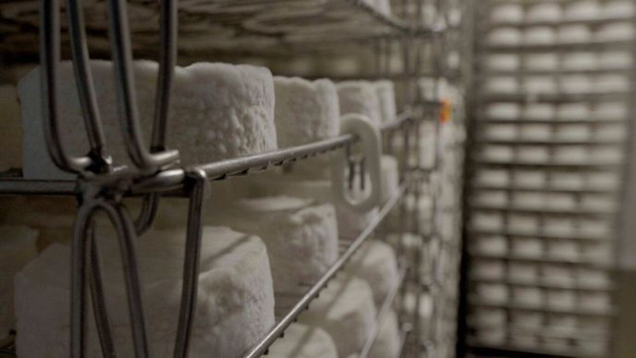 Le camembert nous ouvre sa boîte