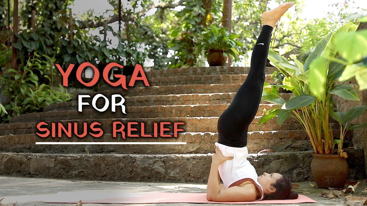 Treat Your Sinus Infection with These Superb Yoga Poses Yoga for