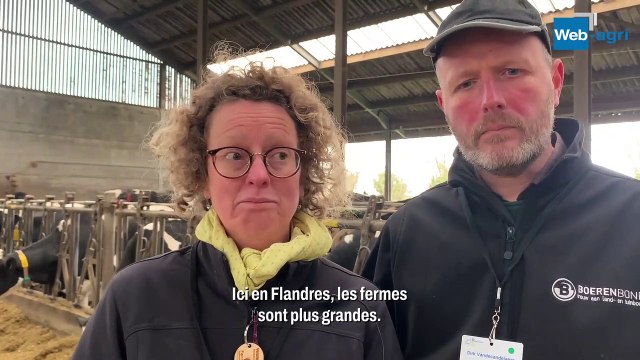La ferme laitière Vandecandelaere dans les Flandres (Belgique)