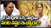 YS Sharmila Fires On CM KCR Over Crop Loss At Lotus Pond | V6 News