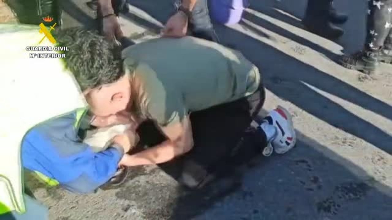 La Guardia Civil investiga a tres franceses por la muerte de dos de sus perros tras abandonarlos en un maletero