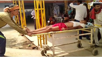 वैशाली: ताड़ के पेड़ से गिरने से एक व्यक्ति हुआ घायल, जानिए खबर