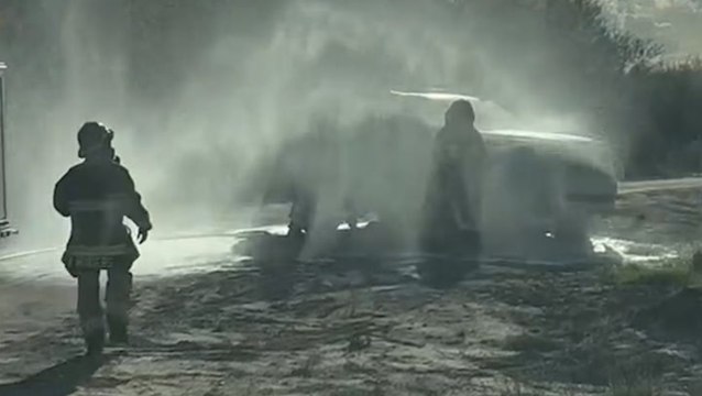 Firefighters rescue mother and child stung 75 times by bees during photoshoot