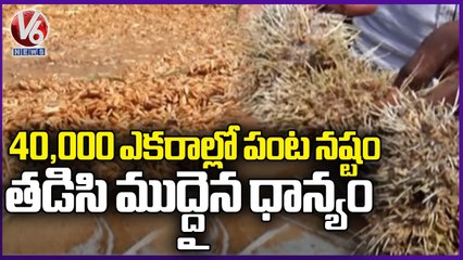Heavy Rains Impact On Paddy Procurement In Nizamabad , Thousands Of Acres Crop Damaged | V6 News