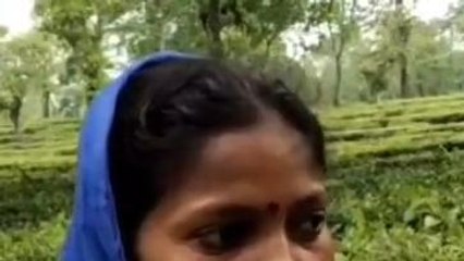 চিতাবাঘের আক্রমণে জখম বৃদ্ধ