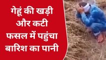बिजनौर: कुदरत के कहर के आगे किसान हुए बेबस,फसल चौपट