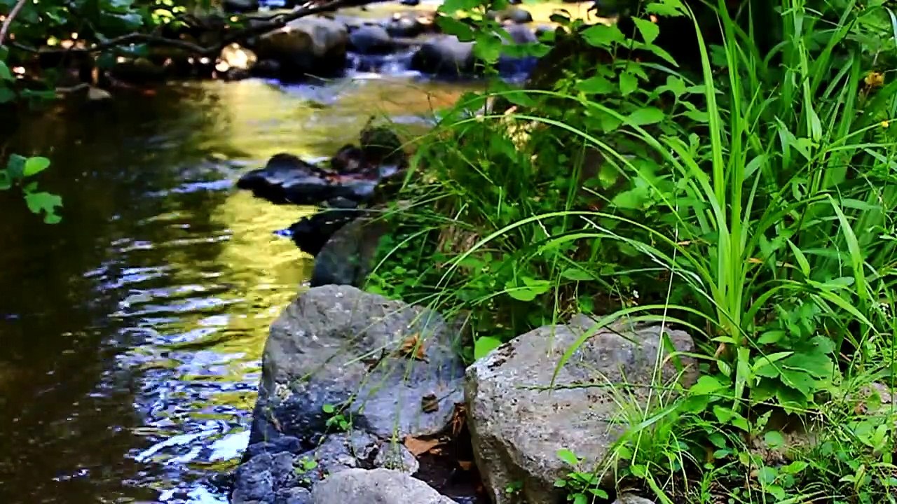 Uzun Bakışlılar -Süleyman Sönmez - Sesli Kitap
