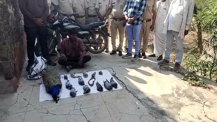 रणथम्भौर में फिर हुआ मोर व अन्य जीवों का शिकार
