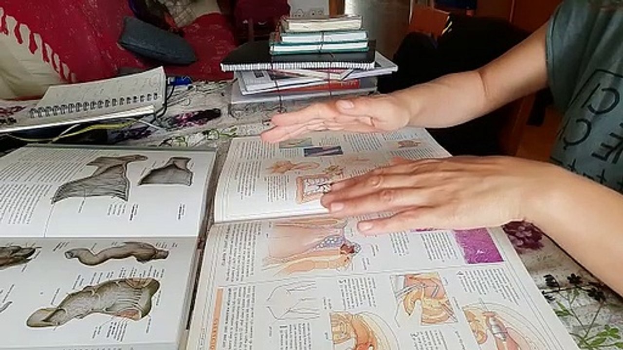 Cirugía para hemorroides