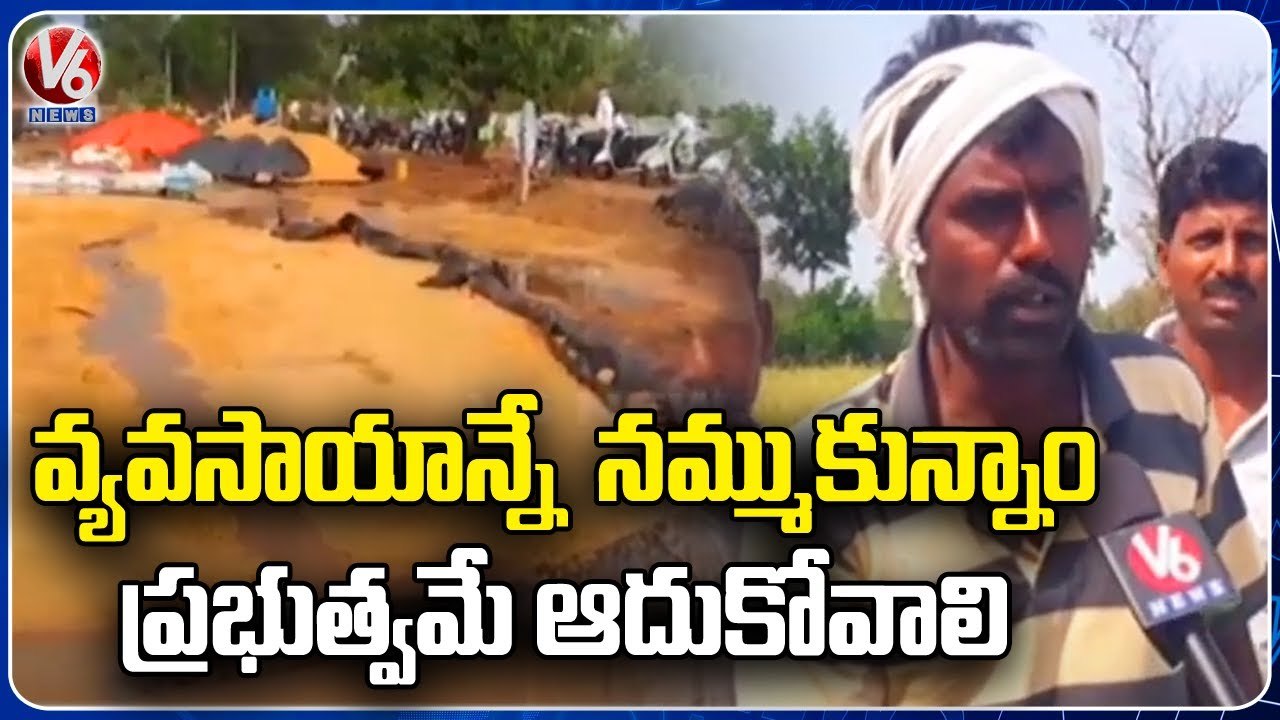 Hailstorms And Heavy Rain Cause Huge Crop Damage In Kamareddy | V6 News ...