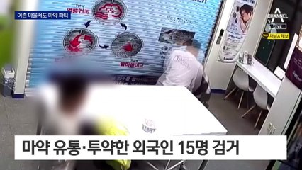 어촌 마을서도 마약 파티…외국인 근로자 상대 판매