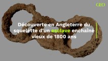 Découverte en Angleterre du squelette d'un esclave enchaîné vieux de 1800 ans