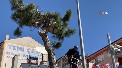 Ağaçta mahsur kalan kediyi itfaiye kurtardı