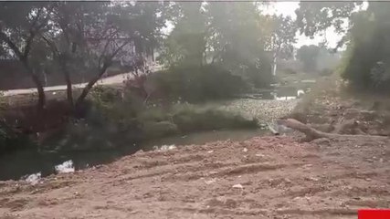 सीधी: नाले को अतिक्रमण मुक्त करने शिवसेना ने उठाई मांग