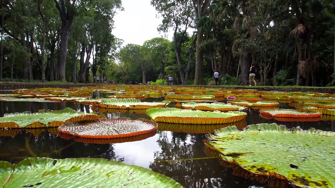 Sizin, "BİZ" Dediginiz Ne Kadar?