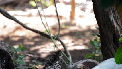 Evrensel Uyku Bildirgesi _ Uyku Haklarınızı Öğrenin!