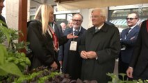 Mattarella visita 