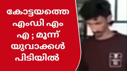 കോട്ടയത്ത് വൻ ലഹരി വേട്ട; യുവാക്കൾ പിടിയിൽ