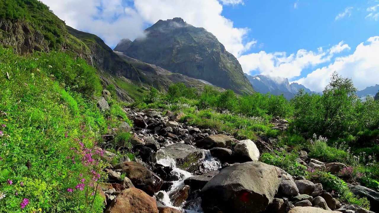 1 Hour of Relaxing Small Stream Sounds in the Mountains