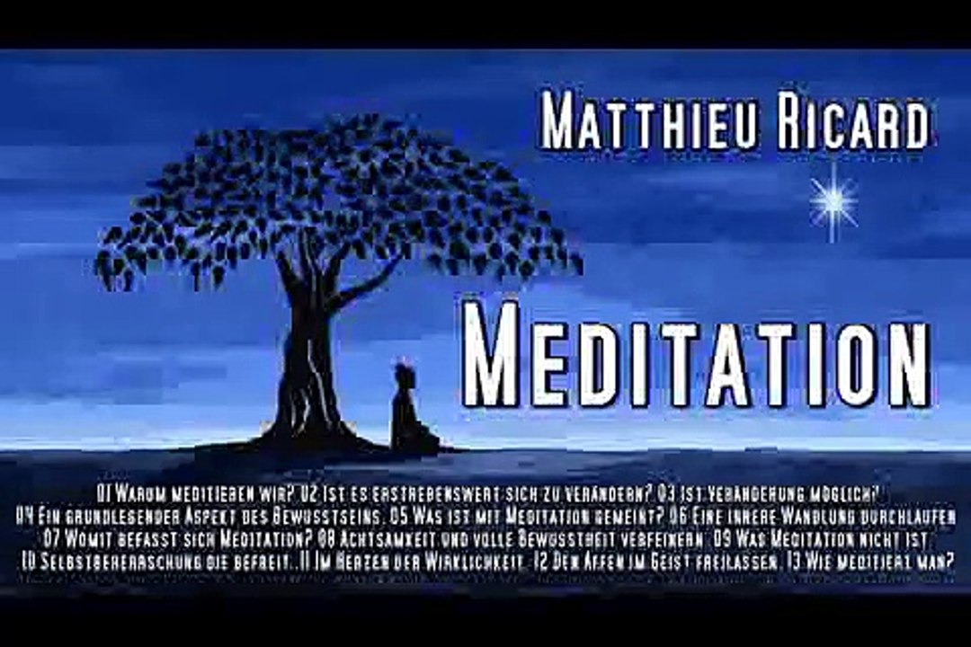 Meditation - Matthieu Ricard