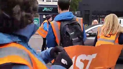 Just Stop Oil protester in collision with car
