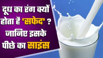 Why Milk is White: दूध का रंग क्यों होता है सफेद?, वजह जानकर रह जाएंगे हैरान | वनइंडिया हिंदी