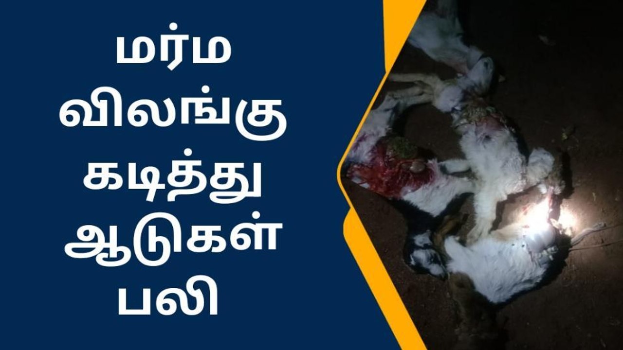 திருப்பூர்: மர்ம விலங்கு கடித்து கால்நடைகள் பலி-பொதுமக்கள் பெரும் பீதி!