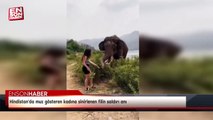 Hindistan'da muz gösteren kadına sinirlenen filin saldırı anı