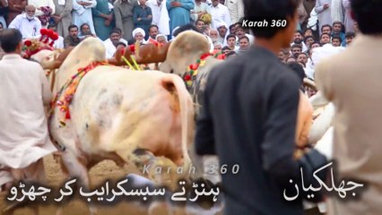 New Jalsa Bail Karah Bhon District Chakwal 22.03.2023. جلسہ بیل کراہ بھونڑ ضلع چکوال 2023۔3۔22