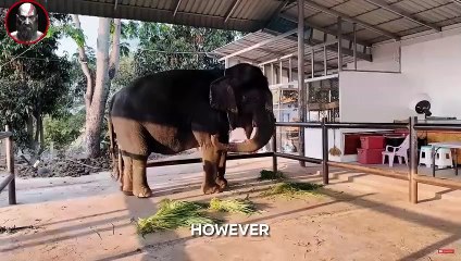 11 Things That DESTROY Your Masculine Confidence  (MUST KNOW)