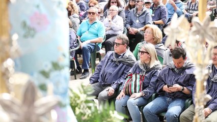 Más de 30.000 romeros rinden homenaje a la Virgen de la Viñas de Tomelloso