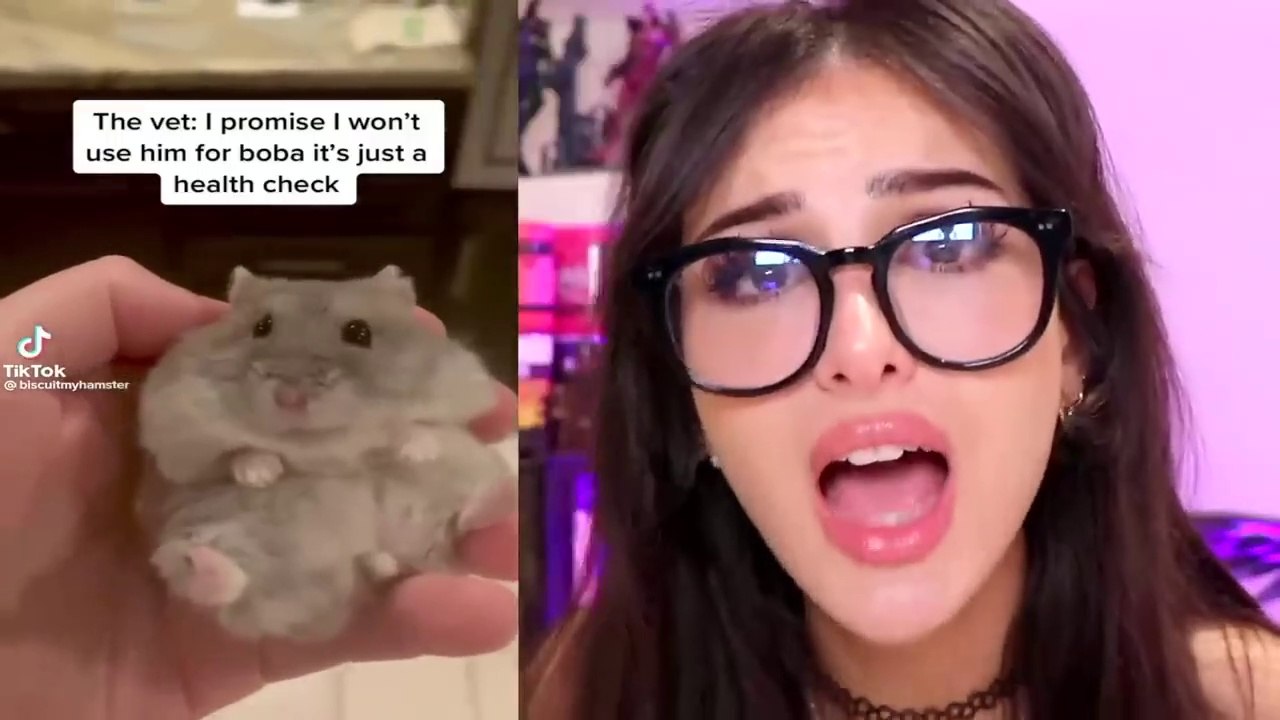 TikToks That Feel ILLEGAL To Watch
