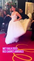 Met Gala 2023 Red Carpet Arrivals