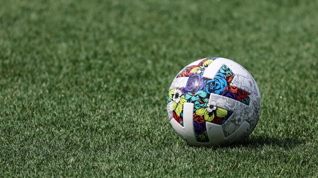 Leeds United Sack Javi Gracia, Hire Sam Allardyce