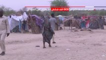 الأمم المتحدة: المعارك قد تدفع نحو 800 ألف سوداني للجوء لدول الجوار