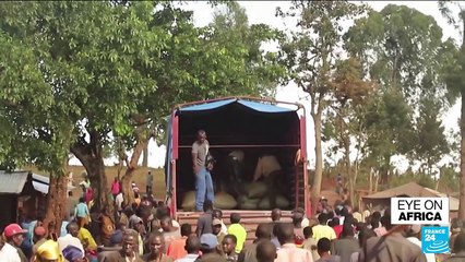 DR Congo conflict: Codeco armed group ramp up attacks in Ituri province