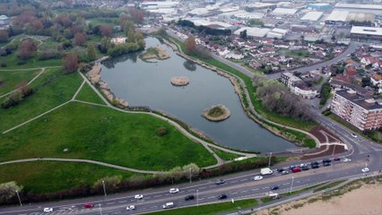 Dozens of fish found dead in Worthing's Brooklands Park